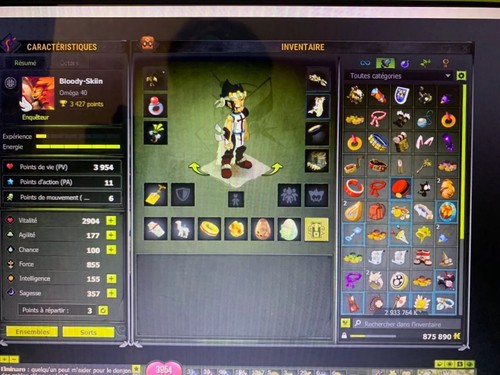 Dofus iop lvl 240 brumen